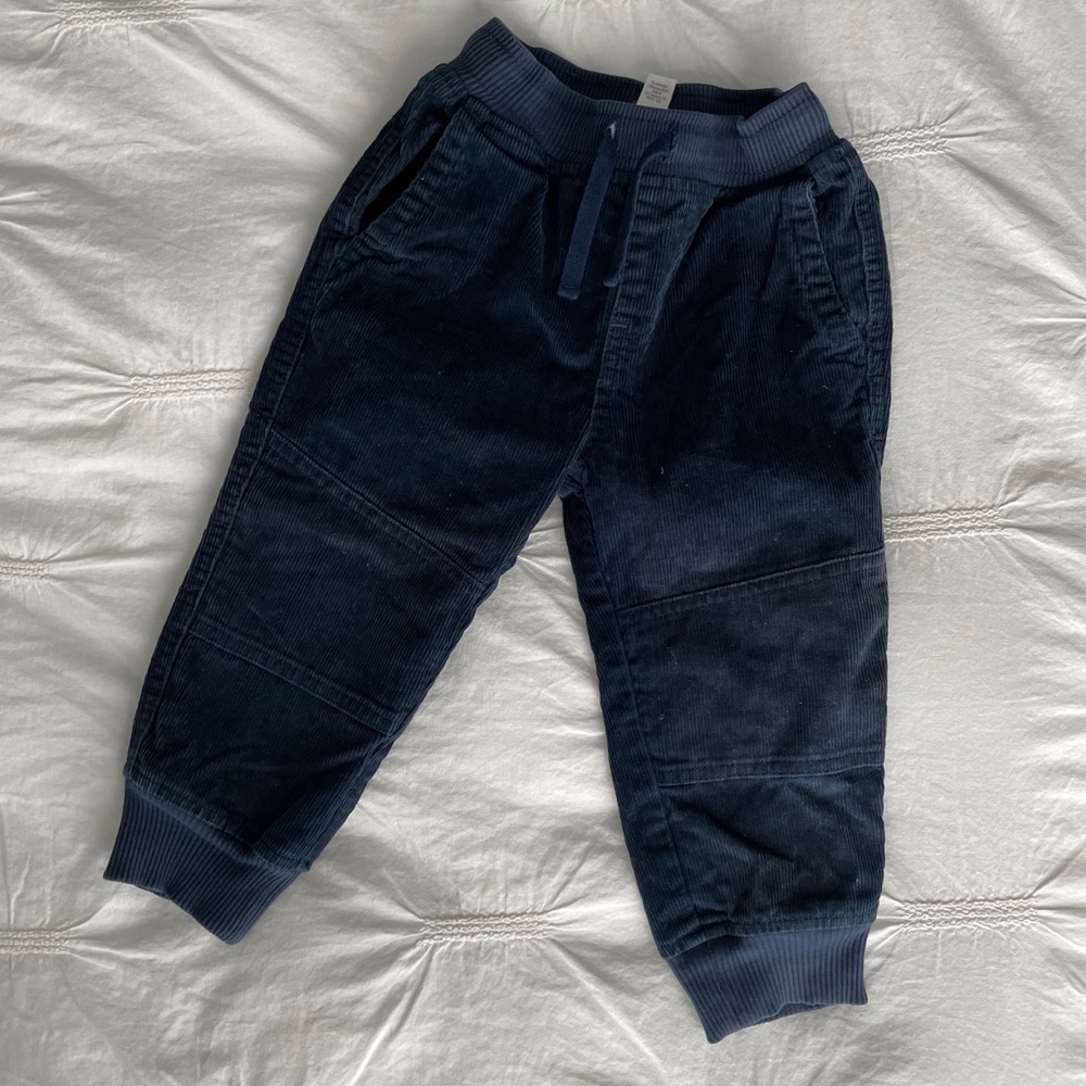 Corduroy jogger pants. Tea collection
